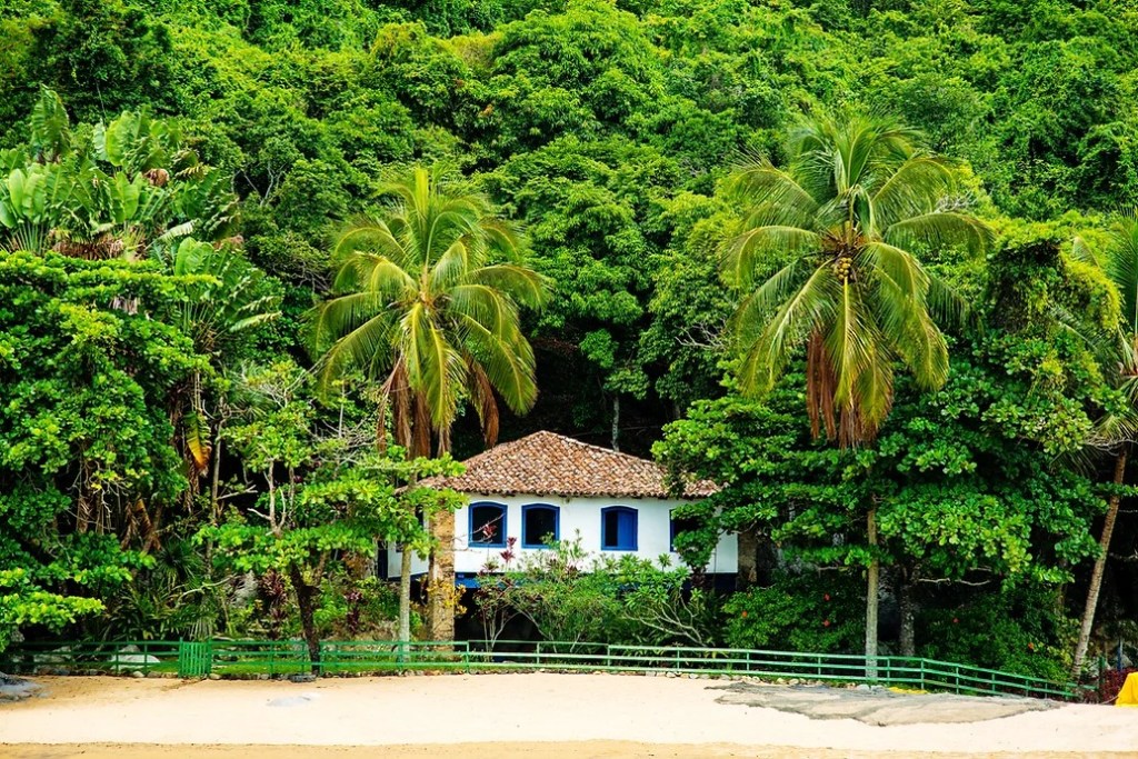 Kelp Journal Feature